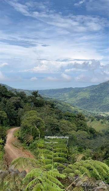 For Sale - Negeri Sembilan Kuala Pilah @ Johol Agriculture Land Durian Land