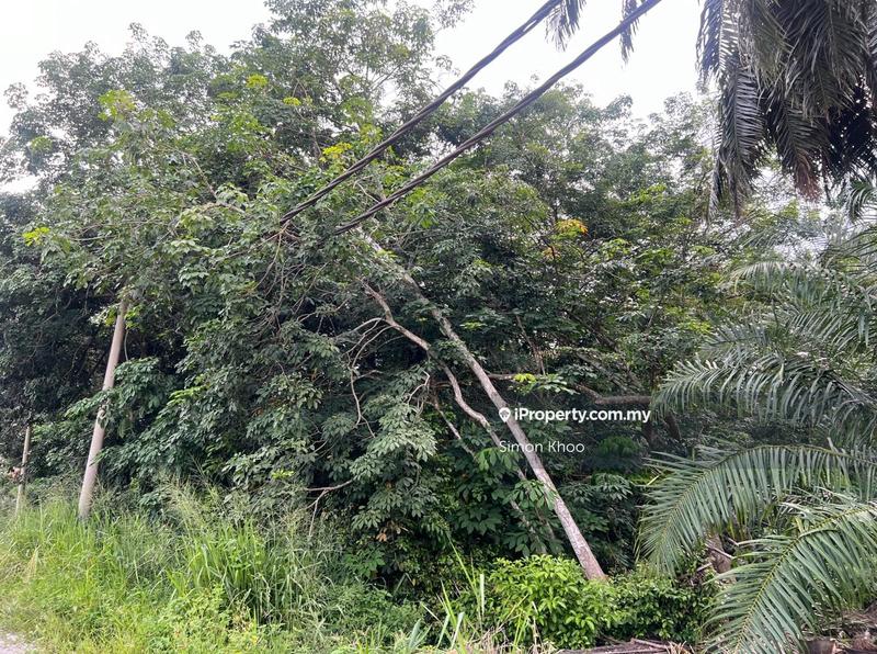 Tanah Pertanian untuk Dijual di Pekan Ijok, Ijok oleh Simon Khoo - iProperty.com.my