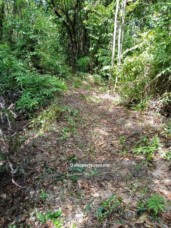 Agricultural Land for Sale in Teluk Bahang, Penang by Zusain Tan - iProperty.com.my