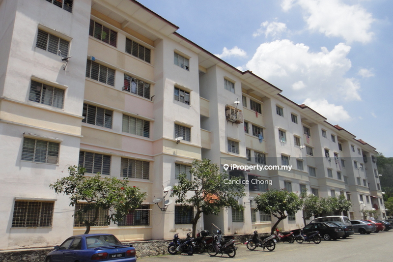 Rumah Pangsa untuk Disewa di Sri Begonia oleh Candice Chong - iProperty.com.my