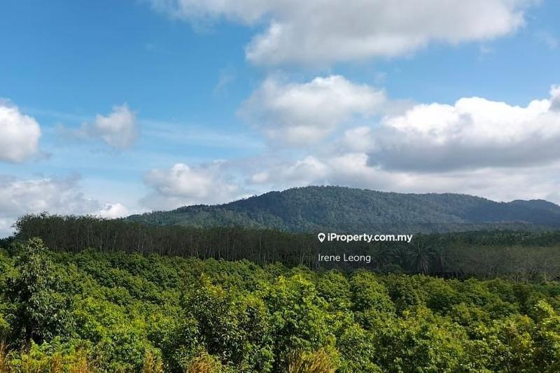 Agricultural Land for Sale in Kampung Selandar, Selandar by Irene Leong - iProperty.com.my