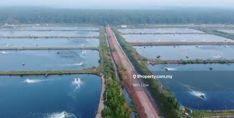 Tanah Pertanian untuk Dijual di Pulau Carey, Klang oleh WH Low - iProperty.com.my