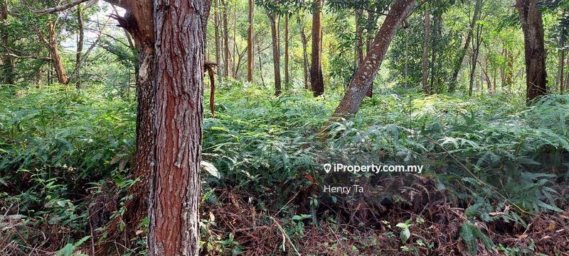 Bungalow Land for Sale in Bukit Tinggi, Bentong by Henry Ta - iProperty.com.my