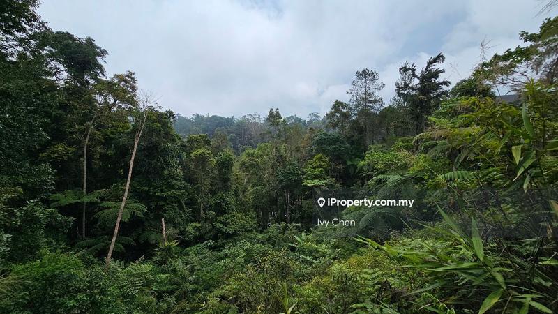 Bungalow Land for Sale in uoc71, Teras by Ivy Chen - iProperty.com.my