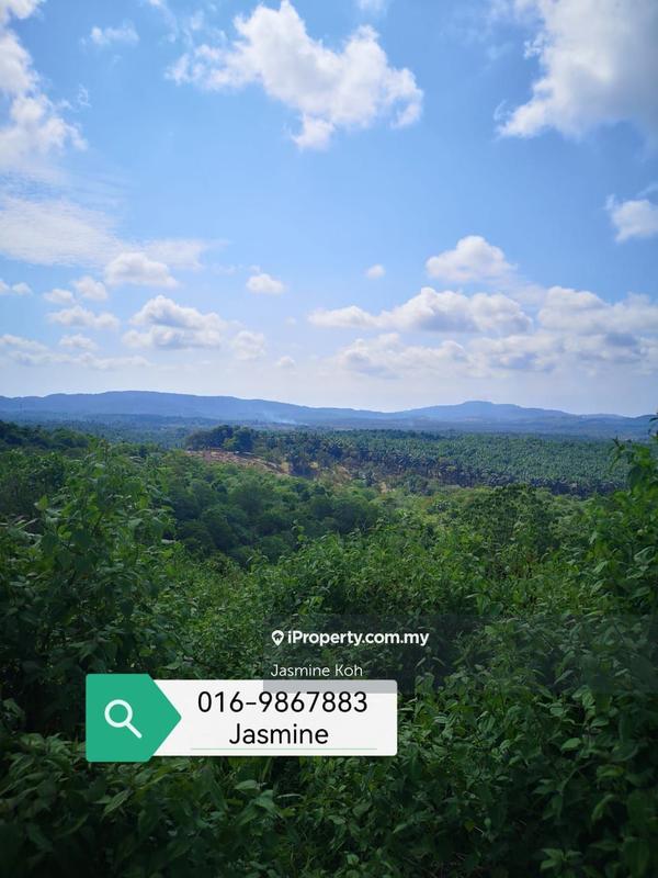 Tanah Pertanian untuk Dijual di Neggiri, Gua Musang oleh Jasmine Koh - iProperty.com.my