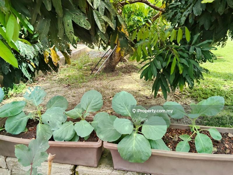 Bungalow House for Sale in Villar D Polo, tigerlane, Ipoh by Ivy Tang - iProperty.com.my