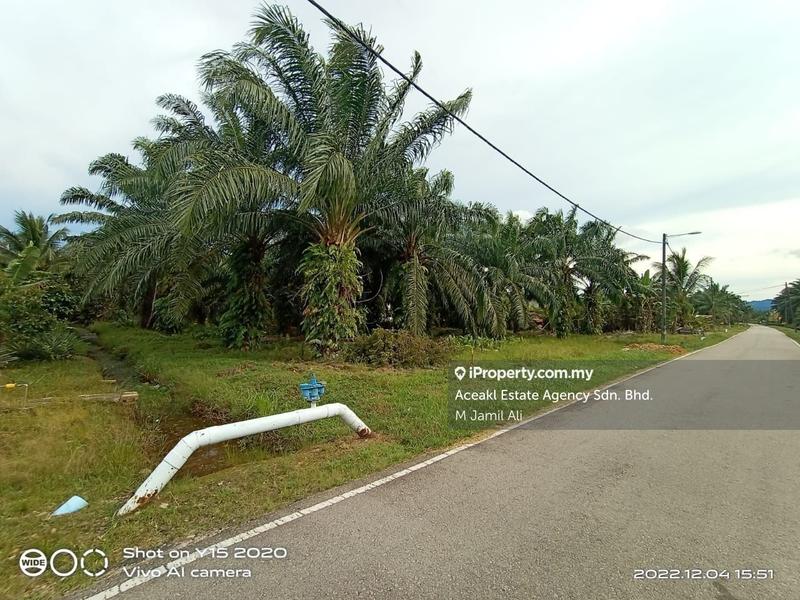 For Sale - Batu Pahat