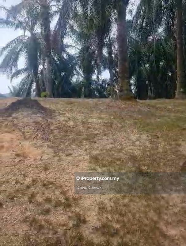 Tanah Pertanian untuk Dijual di Bandar Springhill, Port Dickson oleh David Cheok - iProperty.com.my