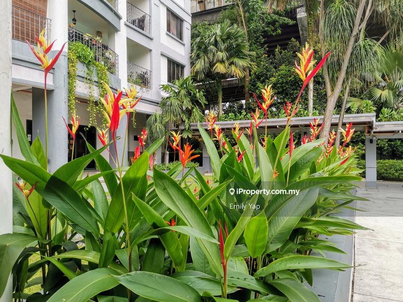 Condominium for Sale in Lanai Kiara by Emily Yap - iProperty.com.my