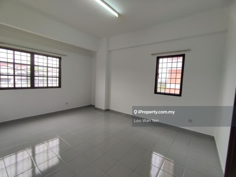 For Sale - Evergreen Park Scot Pine