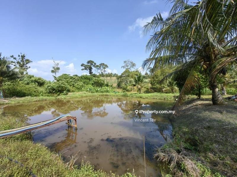 Agricultural Land for Sale in Bandar Raub Perdana, Raub by Vincent Tee - iProperty.com.my