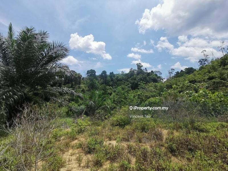 For Sale - 10 Acres Freehold Agriculture Land Manjung Lumut Setiawan