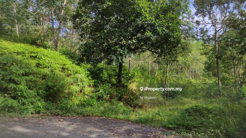 Tanah Pertanian untuk Dijual di hulu rening, Batang Kali oleh Iz Hakim - iProperty.com.my