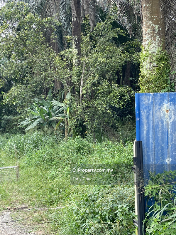 Tanah Perindustrian untuk Dijual di Broga , Semenyih, Semenyih oleh Tony Chun - iProperty.com.my