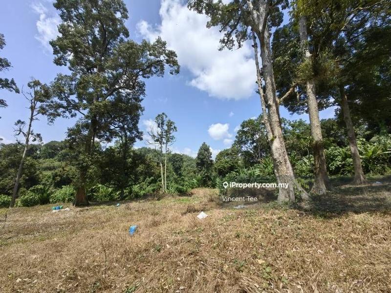 Agricultural Land for Sale in Bandar Baru Kuala Lipis, Kuala Lipis by Vincent Tee - iProperty.com.my