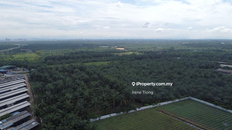 Detached Factory for Sale in Kuala Langat, Jenjarom by Irene Tiong - iProperty.com.my