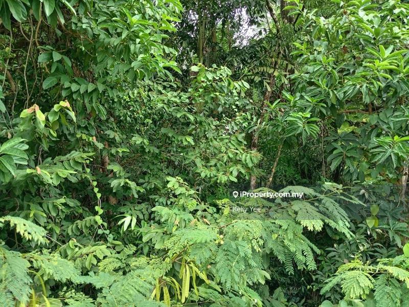For Sale - Empty Agriculture Land @ Bukit Ibam (Keratong), Rompin for Sale