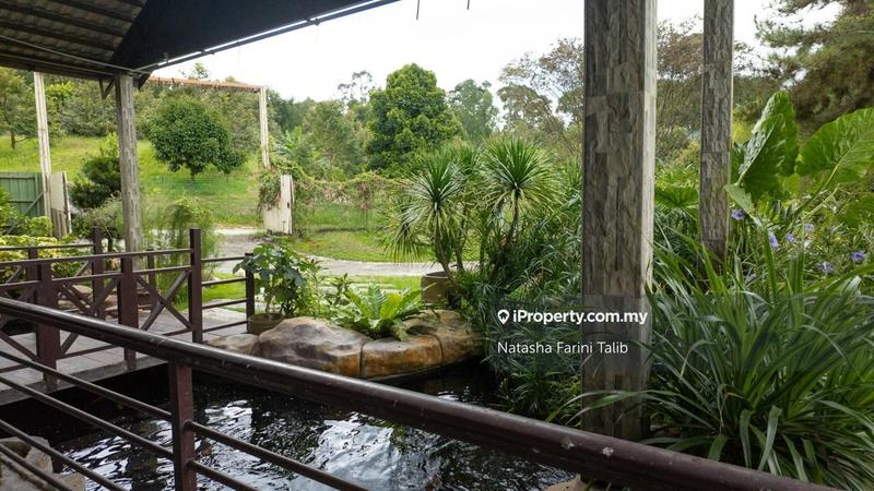 Tanah Pertanian untuk Dijual di Hulu Langat, Selangor oleh Natasha Farini Talib - iProperty.com.my