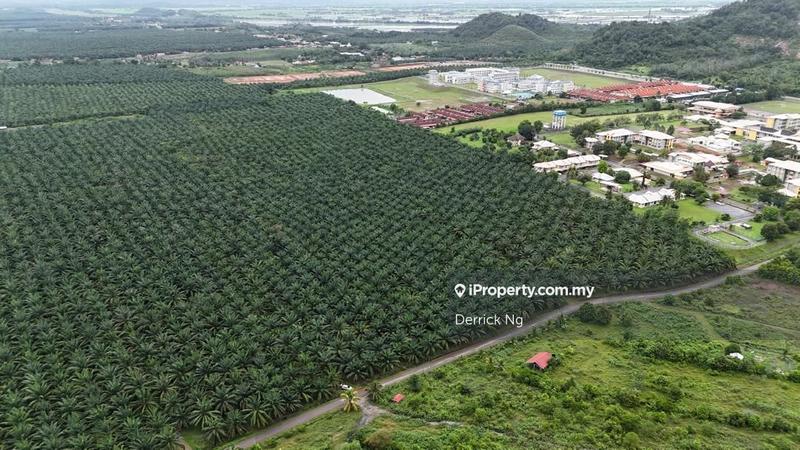 Agricultural Land for Sale in Taman Melor, Pendang by Derrick Ng - iProperty.com.my