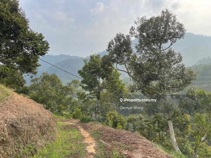 Tanah Pertanian untuk Dijual di Sungai Chetang, Raub oleh Damon Wong - iProperty.com.my