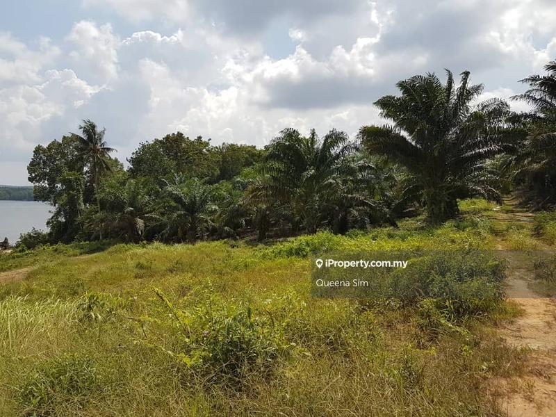 Agricultural Land for Sale in Pengerang, Johor by Queena Sim - iProperty.com.my