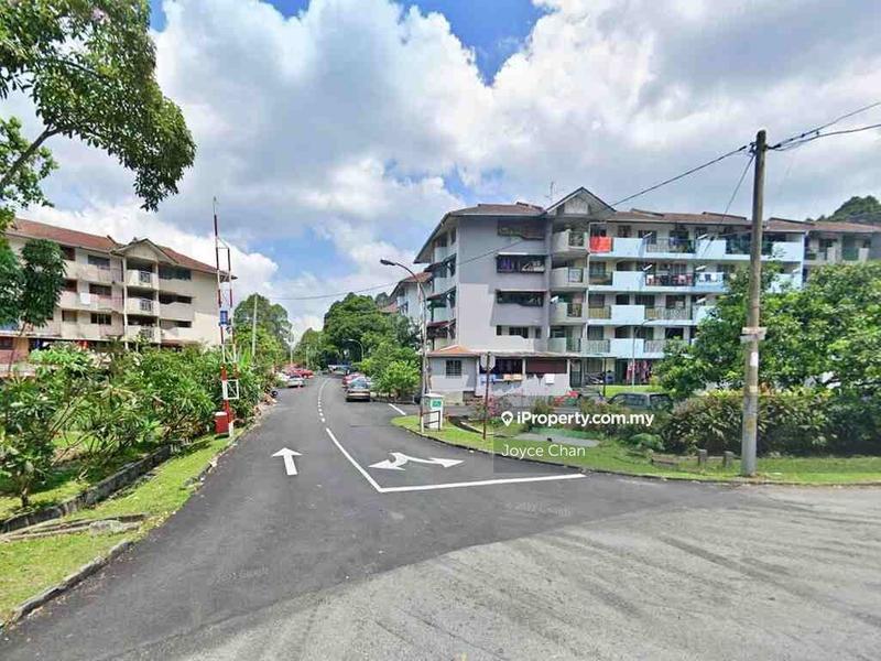 For Sale - Gugusan Lily