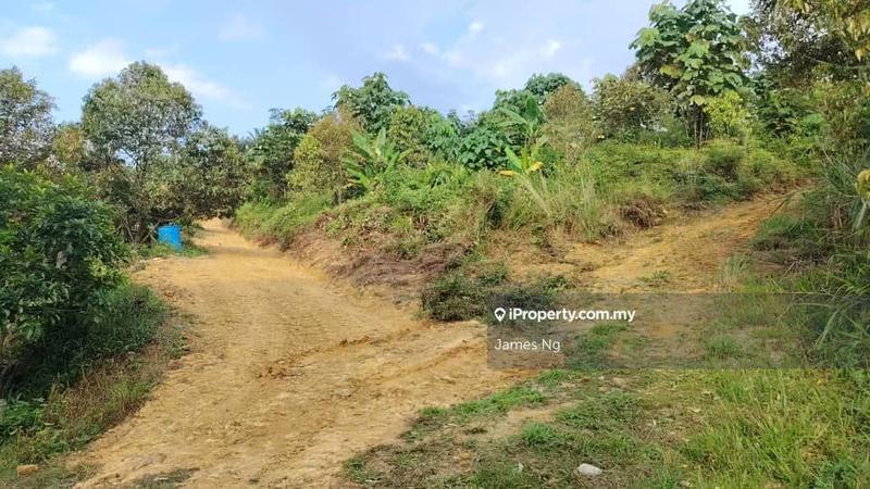 Tanah Pertanian untuk Dijual di Seri Telemong, Telemong oleh James Ng - iProperty.com.my