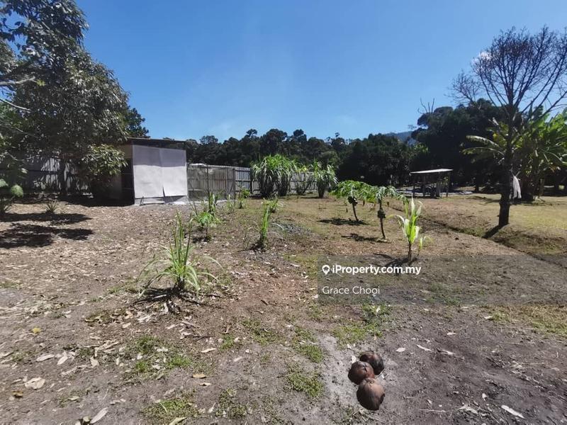 For Sale - Agriculture Land