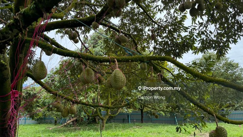 Tanah Pertanian untuk Dijual di Sg Ruan, Raub oleh Damon Wong - iProperty.com.my