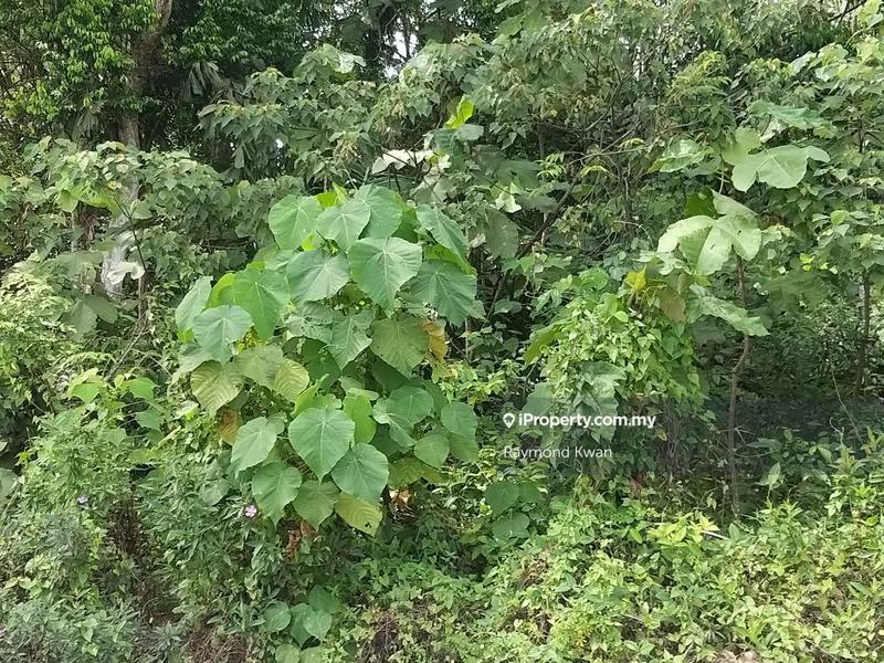 Tanah Pertanian untuk Dijual di Jalan Dengkil Banting, Banting oleh Raymond Kwan - iProperty.com.my