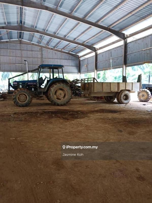 Tanah Pertanian untuk Dijual di Taman Gua Musang, Gua Musang oleh Jasmine Koh - iProperty.com.my