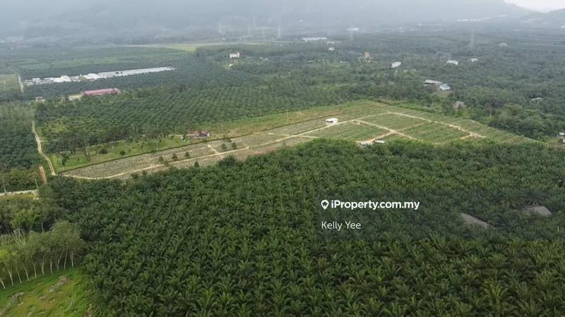Agricultural Land for Sale in Kampung Legong Jaya, Gadong by Kelly Yee - iProperty.com.my