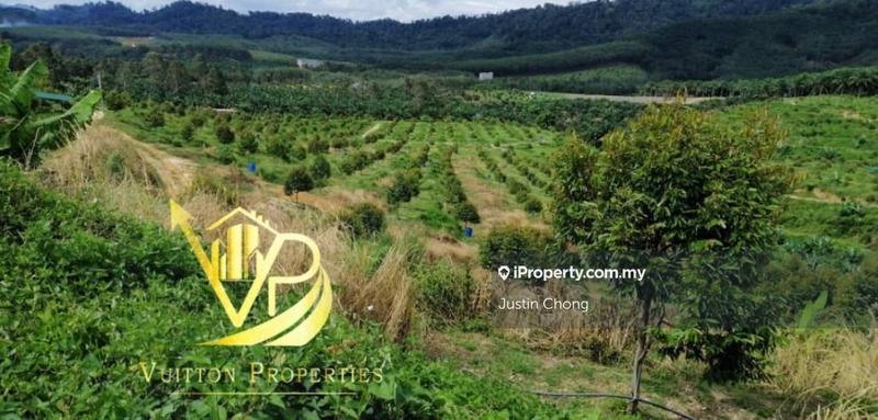For Sale - MultiFamous Species Durian Land@Gerik Perak