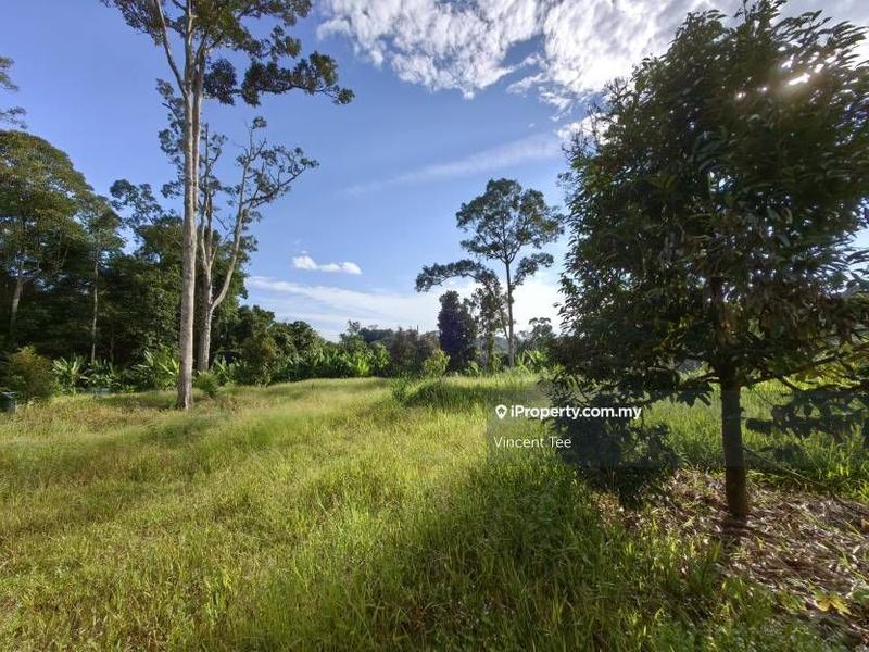 For Sale - 2 Acres Freehold Durian Farm Next to River Padang Tengku Kuala Lipis Raub Bentong