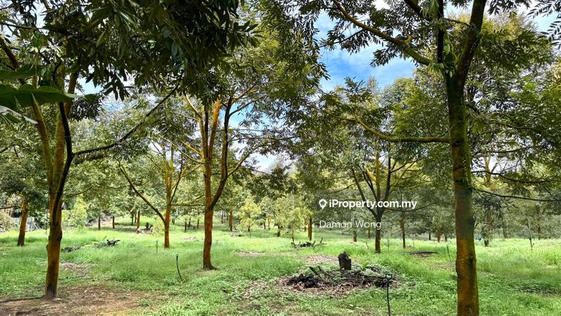 Agricultural Land for Sale in Cinta Manis, Karak by Damon Wong - iProperty.com.my