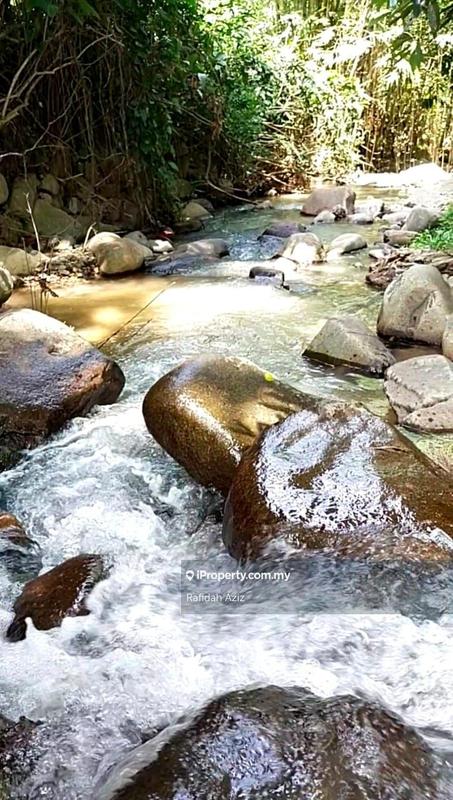 Tanah Pertanian untuk Dijual di Janda Baik, Bentong oleh Rafidah Aziz - iProperty.com.my