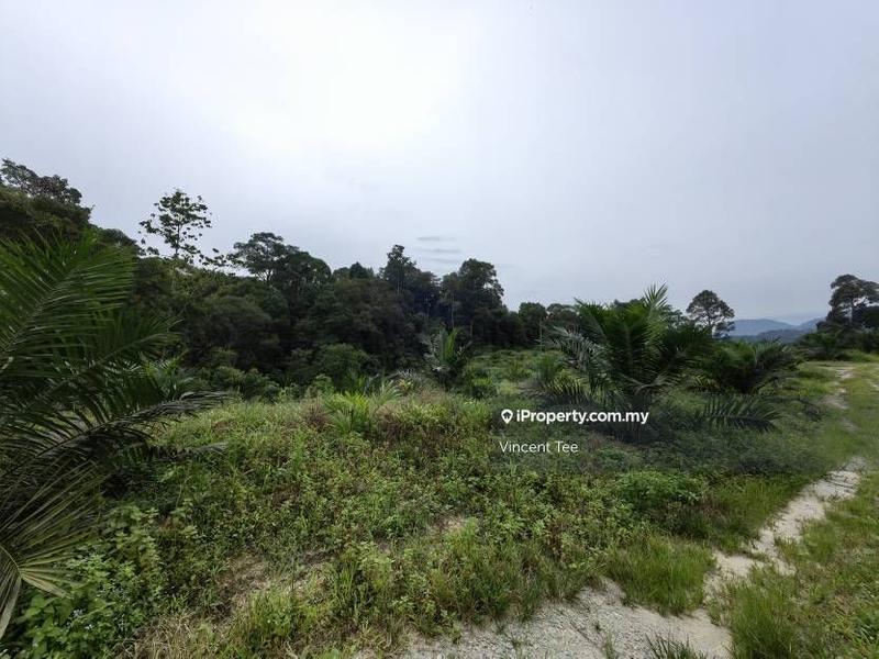 Tanah Pertanian untuk Dijual di Kampung Renal, Kuala Klawang oleh Vincent Tee - iProperty.com.my