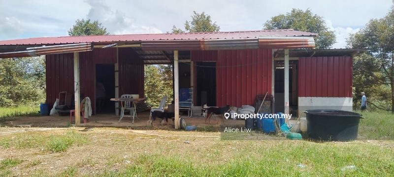 Agricultural Land for Sale in Kalumpang, Rawang by Alice Liw - iProperty.com.my