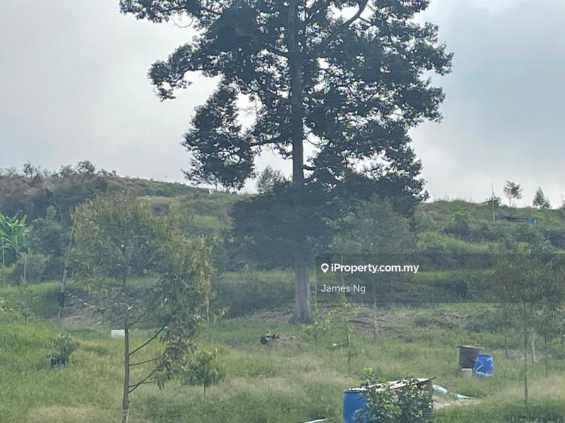 Agricultural Land for Sale in Karak,Pahang, Kuantan by James Ng - iProperty.com.my