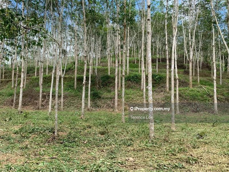 Tanah Pertanian untuk Dijual di Kenaboi Titi Jelebu Kuala klawang Land, Titi oleh Terence Lok - iProperty.com.my