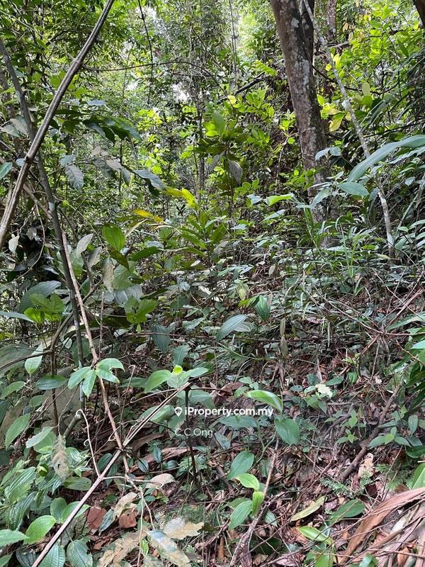 Tanah Komersial untuk Dijual di Bandar teknologi kajang, Semenyih oleh C.C.Ong - iProperty.com.my