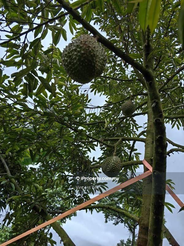 Agricultural Land for Sale in Taman Bentong Makmur, Bentong by Vincent Tee - iProperty.com.my