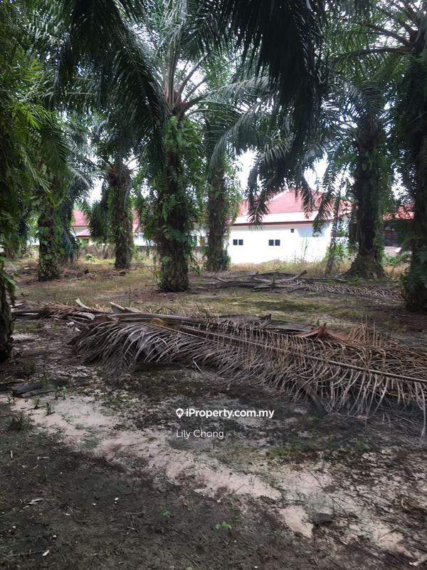 Agricultural Land for Sale in Seri Manjung, Perak by Lily Chong - iProperty.com.my