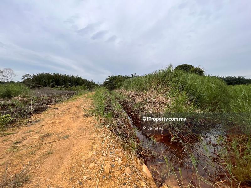Agricultural Land for Sale in Kampung Pulau Penarek Sg Mati, Tangkak by M Jamil Ali - iProperty.com.my