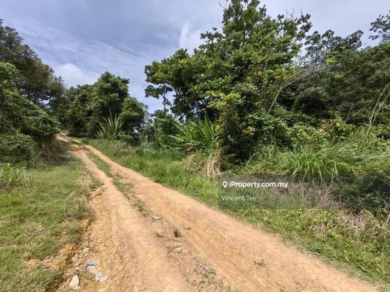 Agricultural Land for Sale in Bandar Lipis, Kuala Lipis by Vincent Tee - iProperty.com.my