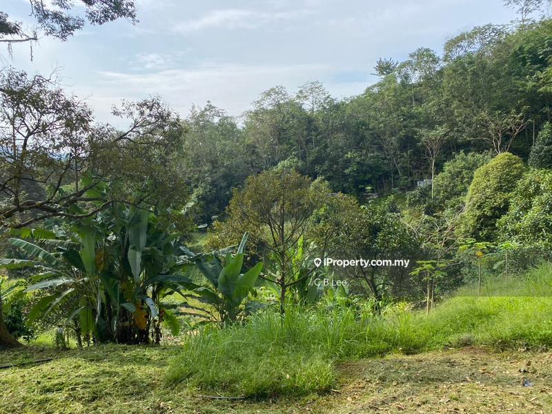 Residential Land for Sale in Broga, Lenggeng by C.B.Lee - iProperty.com.my