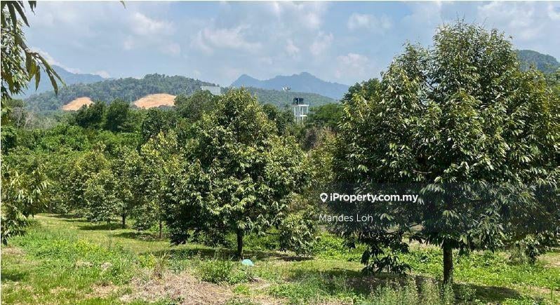 Agricultural Land for Sale in Karak Durian Orchard, Karak by Mandes Loh - iProperty.com.my