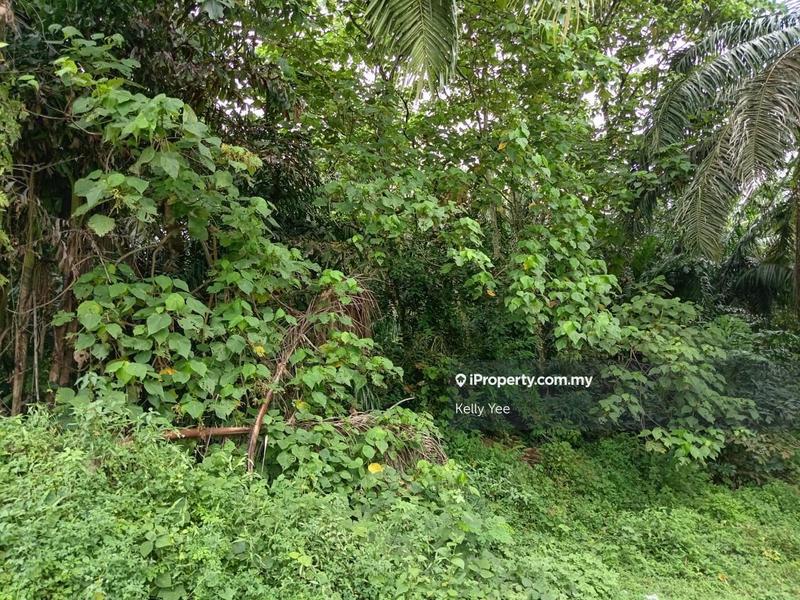 Tanah Kediaman untuk Dijual di Sungai Jawi, Penang oleh Kelly Yee - iProperty.com.my