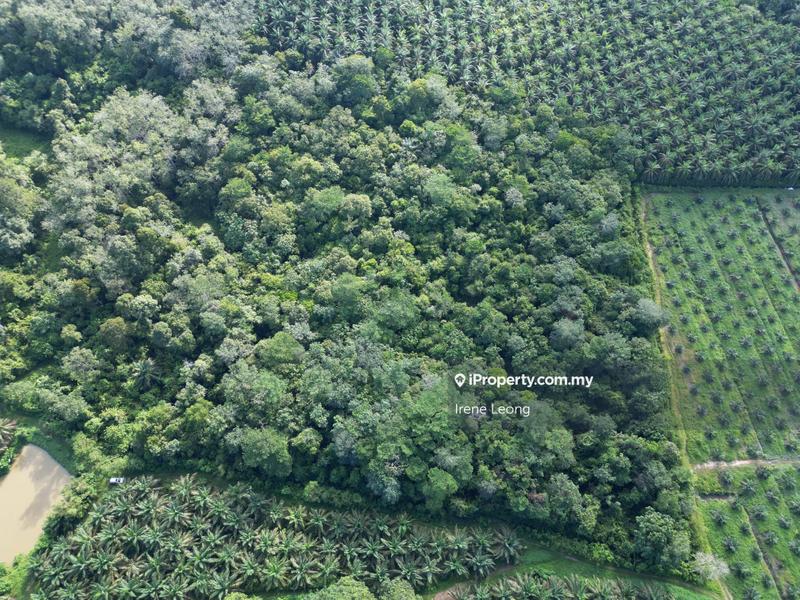 For Sale - 9.8 acres Lanchang Agriculture Land for Sale