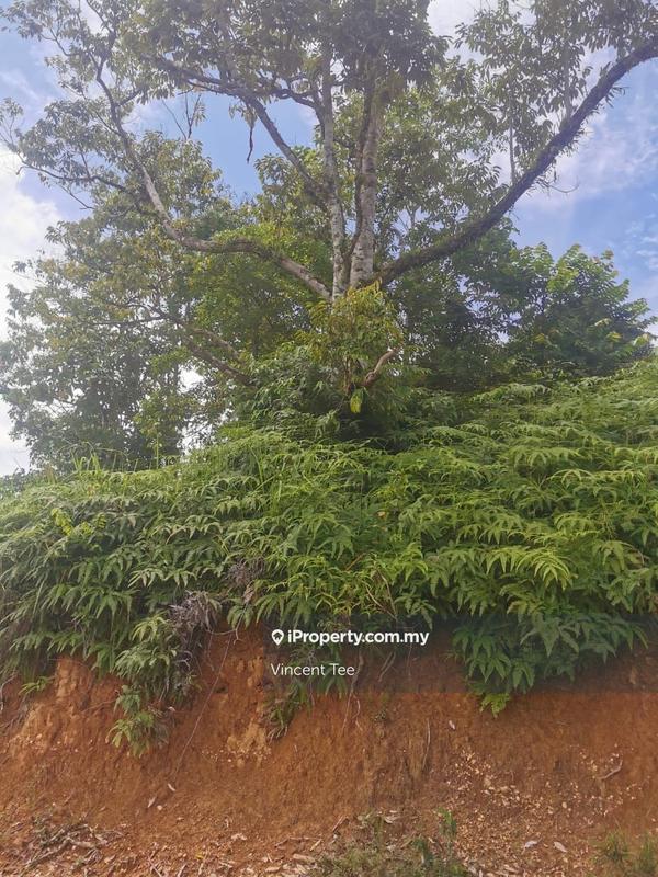 Tanah Pertanian untuk Dijual di Bandar Raub Perdana, Raub oleh Vincent Tee - iProperty.com.my